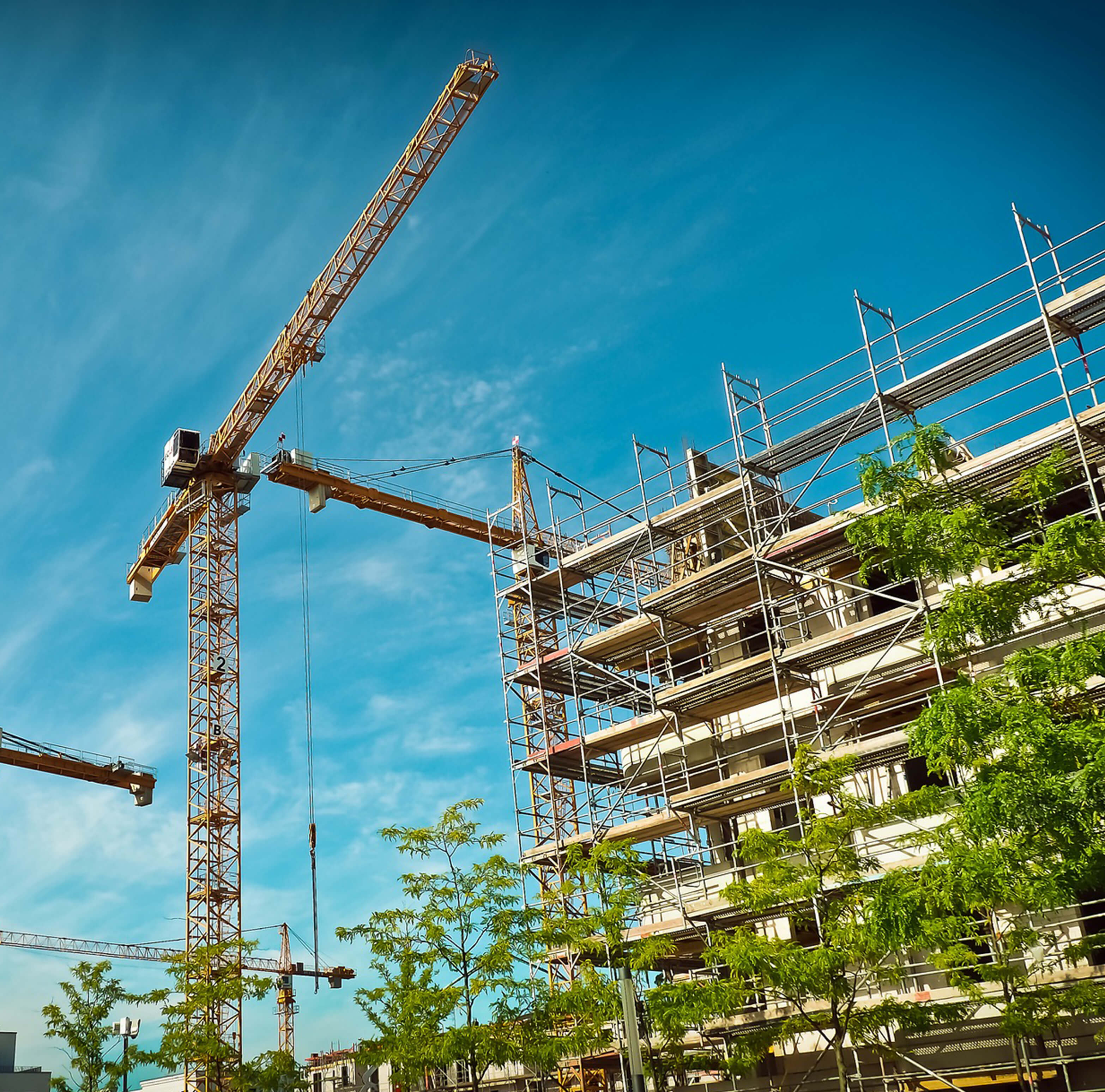 contruction site with trees